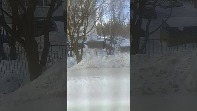VID-20250212-WA0023