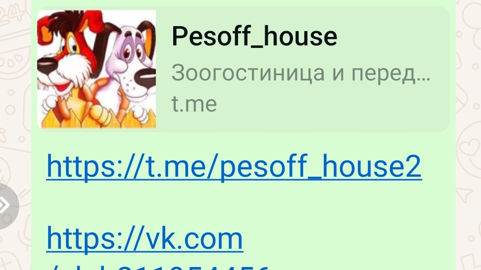 12-02-2025