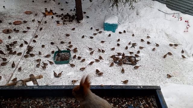 1000379638.mp4