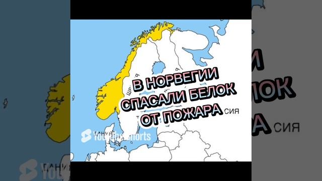 Н.А. Некрасов _Приключение капитана Врунгеля_