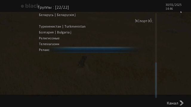 Denys 2.2/H.265/Combo/Premium пример работы настроенных IPTV приложений