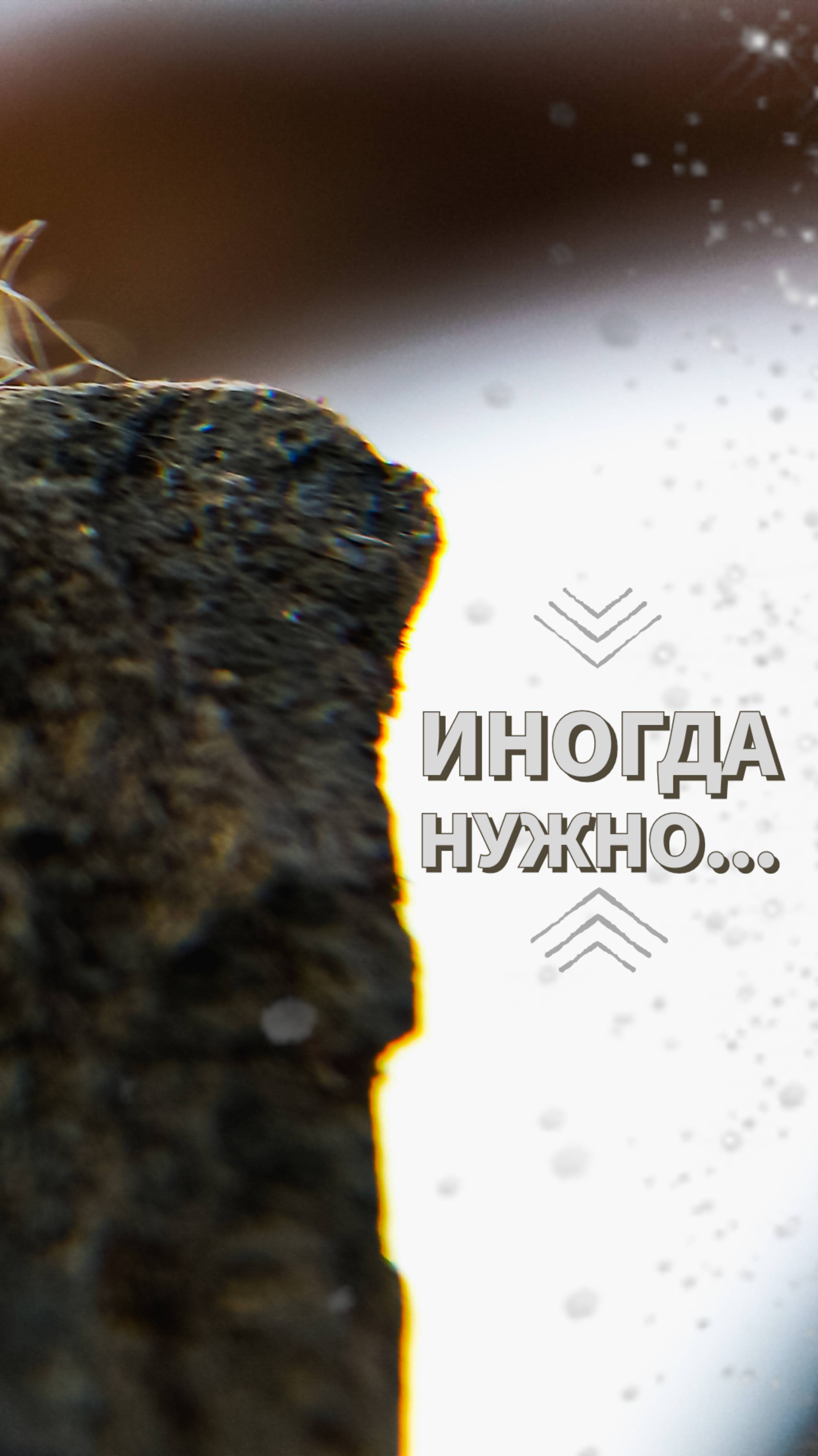 Иногда нужно...#shorts