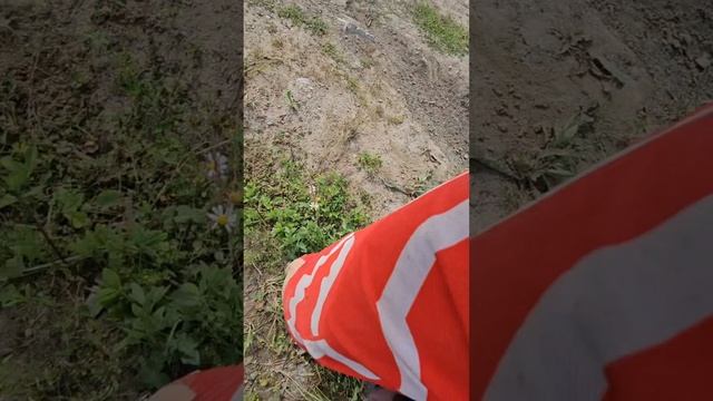 мото Хам падения