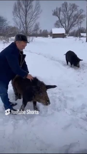 стабильность
