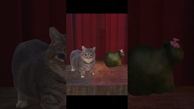 oia прослушивание