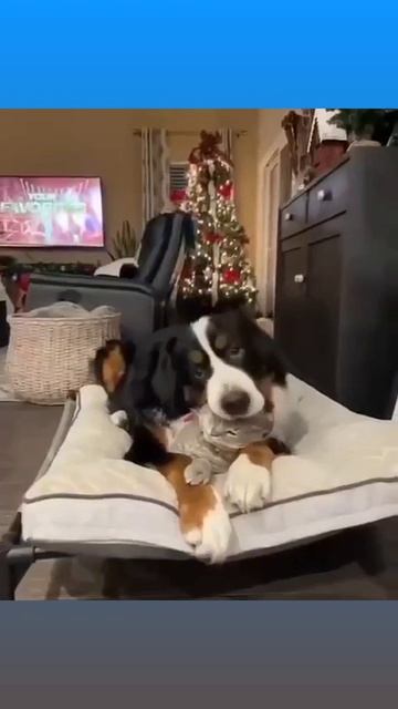 1000073433.mp4