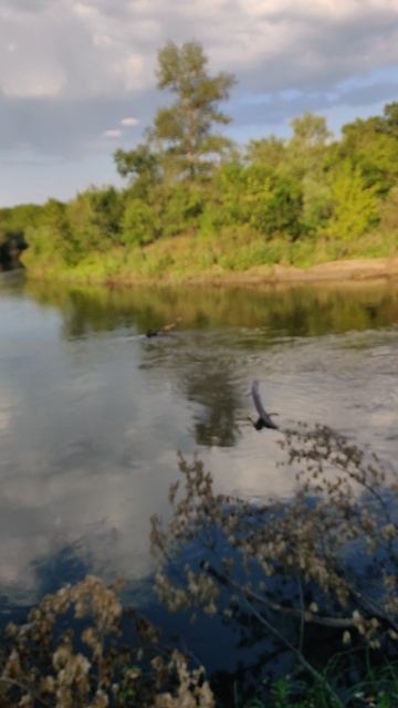 VID_20240611_183403
