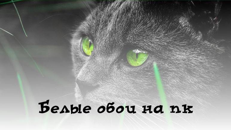 Белые обои на пк