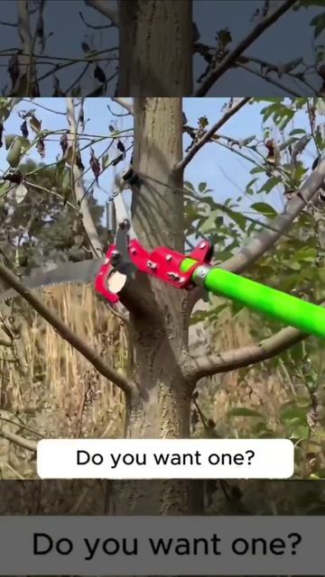 Сучкорез штанговый