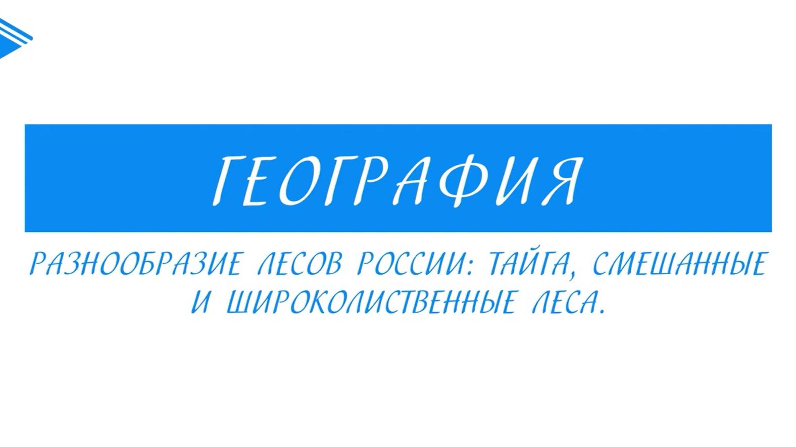 8 класс - География - Разнообразие лесов России тайга, смешанные и широколиственные леса