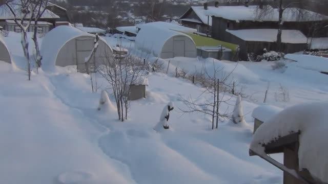 Зимовка  в Удавах  на воле в городе.