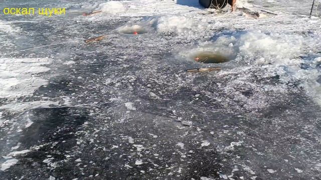 Рыбалка хапугами в зимний период.