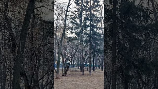 о погоде
