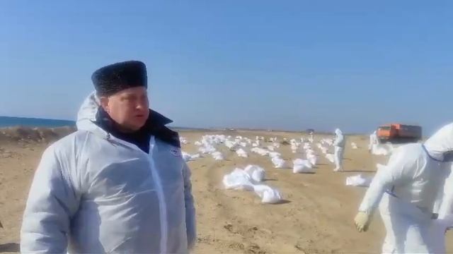 Ликвидаторы ЧС из Тихорецкого района приступили к очистке «ласкового» пляжа