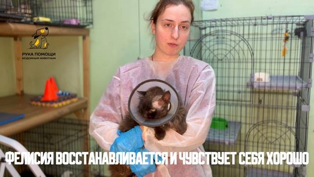 У Фелисии состоялась первая операция. Поддержать⬇️
