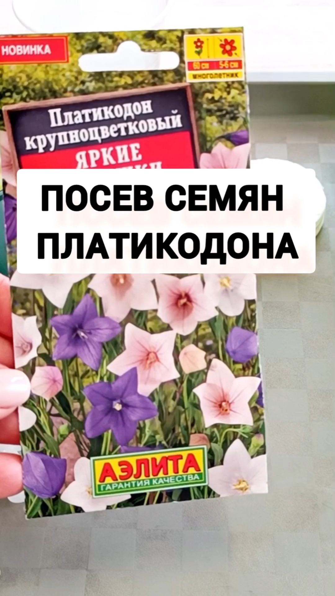 ПЛАТИКОДОН ПОСЕВ СЕМЯН НА РАССАДУ