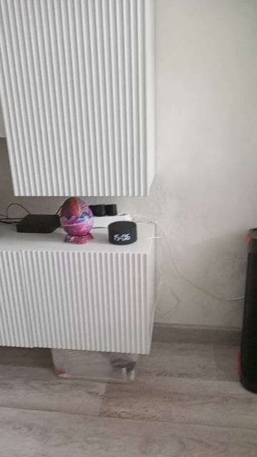 1000001617.mp4
