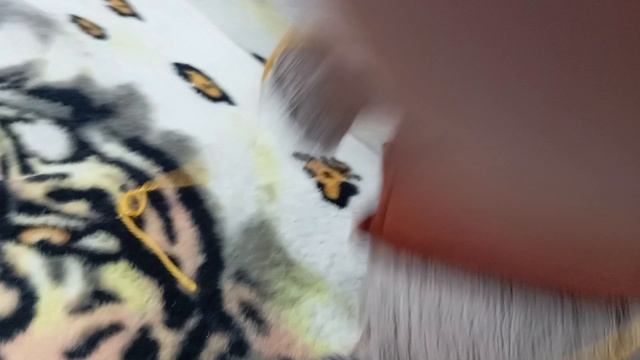 новые способности Басика