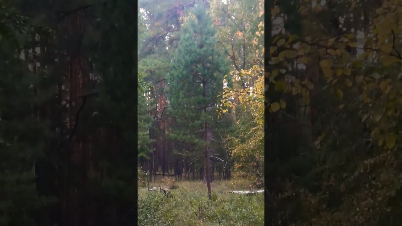 просто жизнь мир#осознание