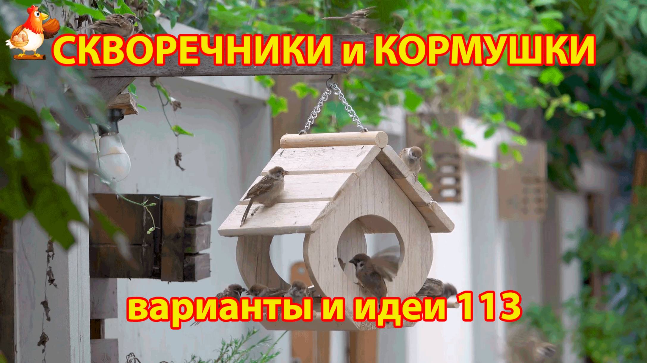 Скворечники и кормушки своими руками для птиц 113 🪚🪛🔨 Идеи для дачи и сада своими руками 😂 Пошаг