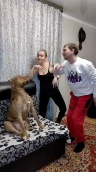 Тайсон в шоке.mp4