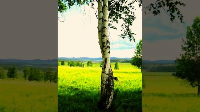 1000000449 ."Чувство".Музыка, исполнение Альбины Станковой( Лукашевич)