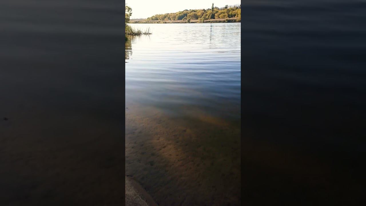 Жизнь просто живёт в моменте мир#осознание