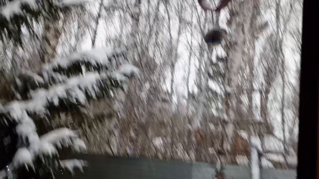 1000379486.mp4