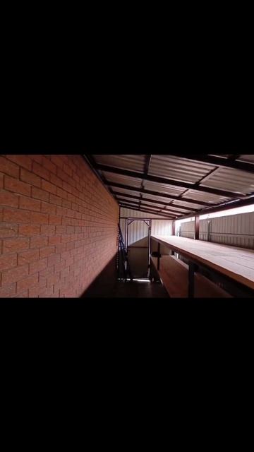 scene_output.mp4