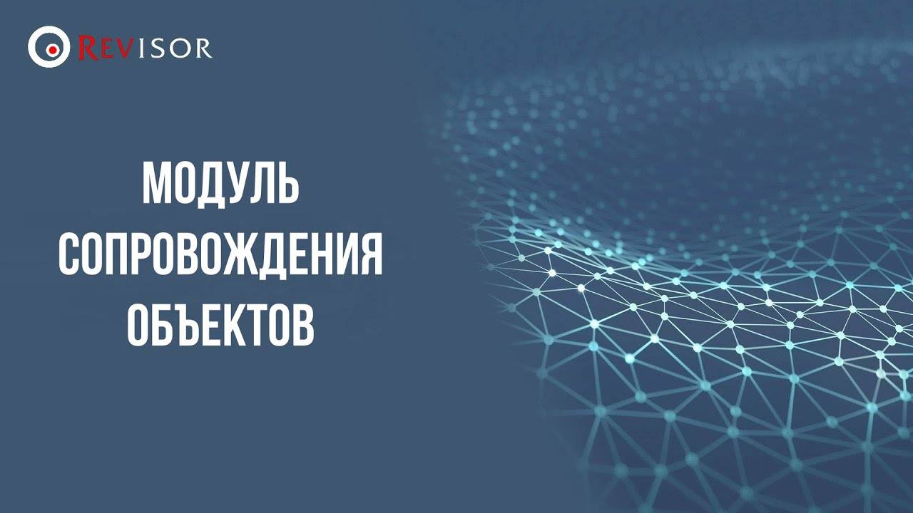 Модуль сопровождения объектов. Revisor VMS