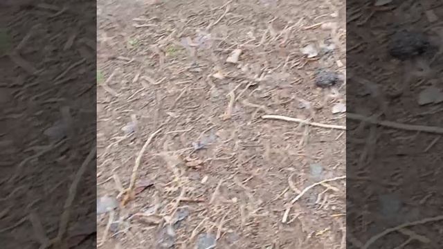 1000002969.mp4