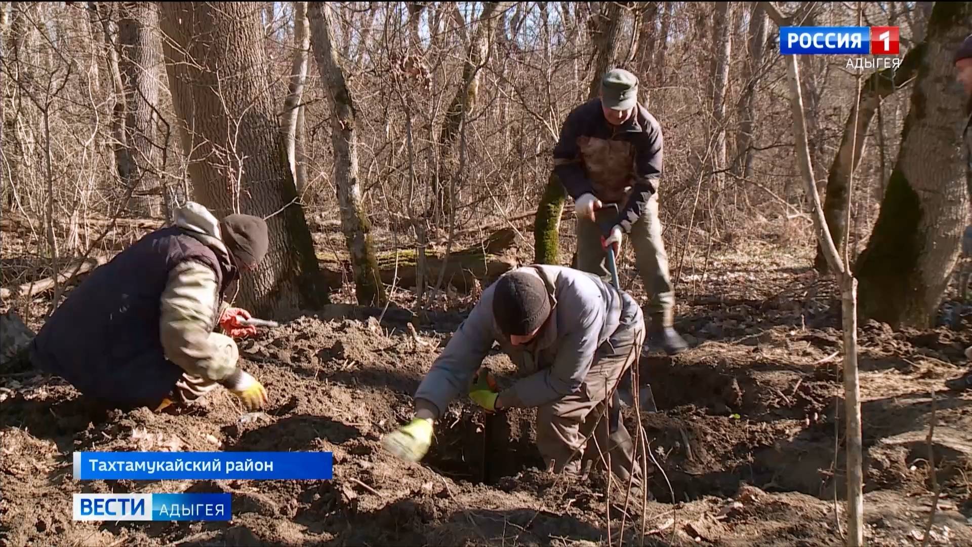 Поисковый отряд "01 Регион" нашел погибших бойцов Красной армии
