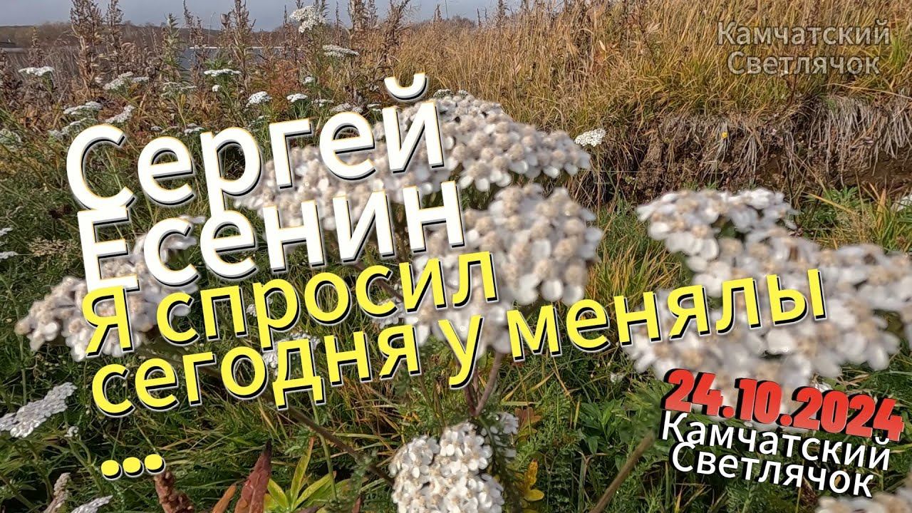 Сергей Есенин - Я спросил сегодня у менялы. Читает Владимир Комаров, Камчатский Светлячок. 24.10.24