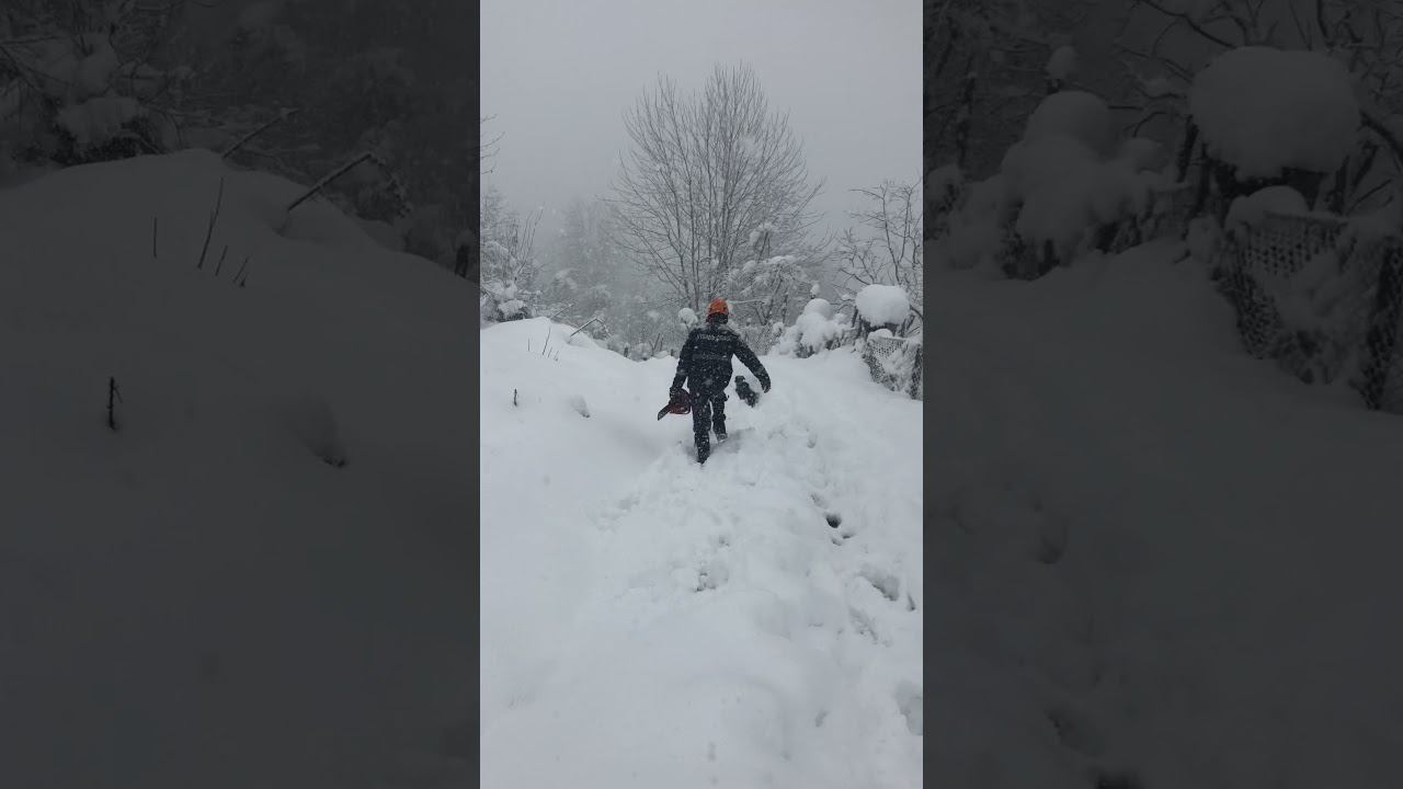 Вызов...Валит снег...Адлер #shorts