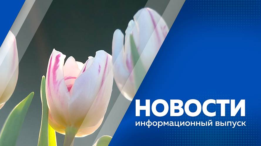 Новости 12.02.25