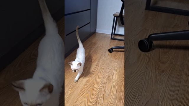 Тайский мальчик Akio Gamlet в новом доме😍