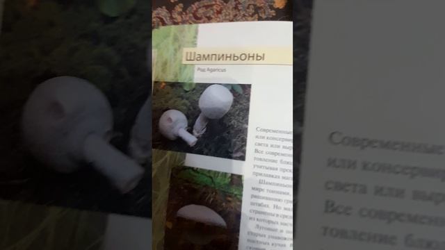 обзор на энциклопедию