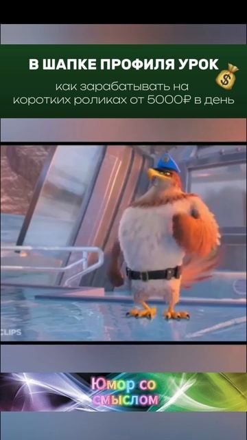 В небе радуга.....