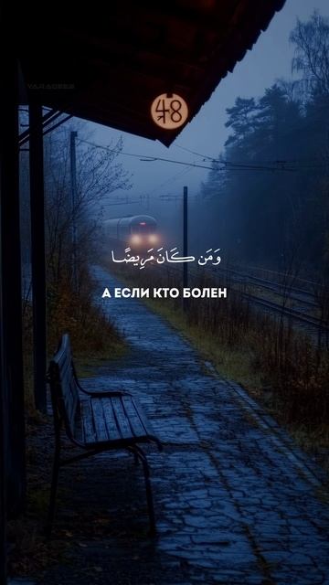 Сура Аль-Бакара аят 185 | Махир Аль-Муаклий