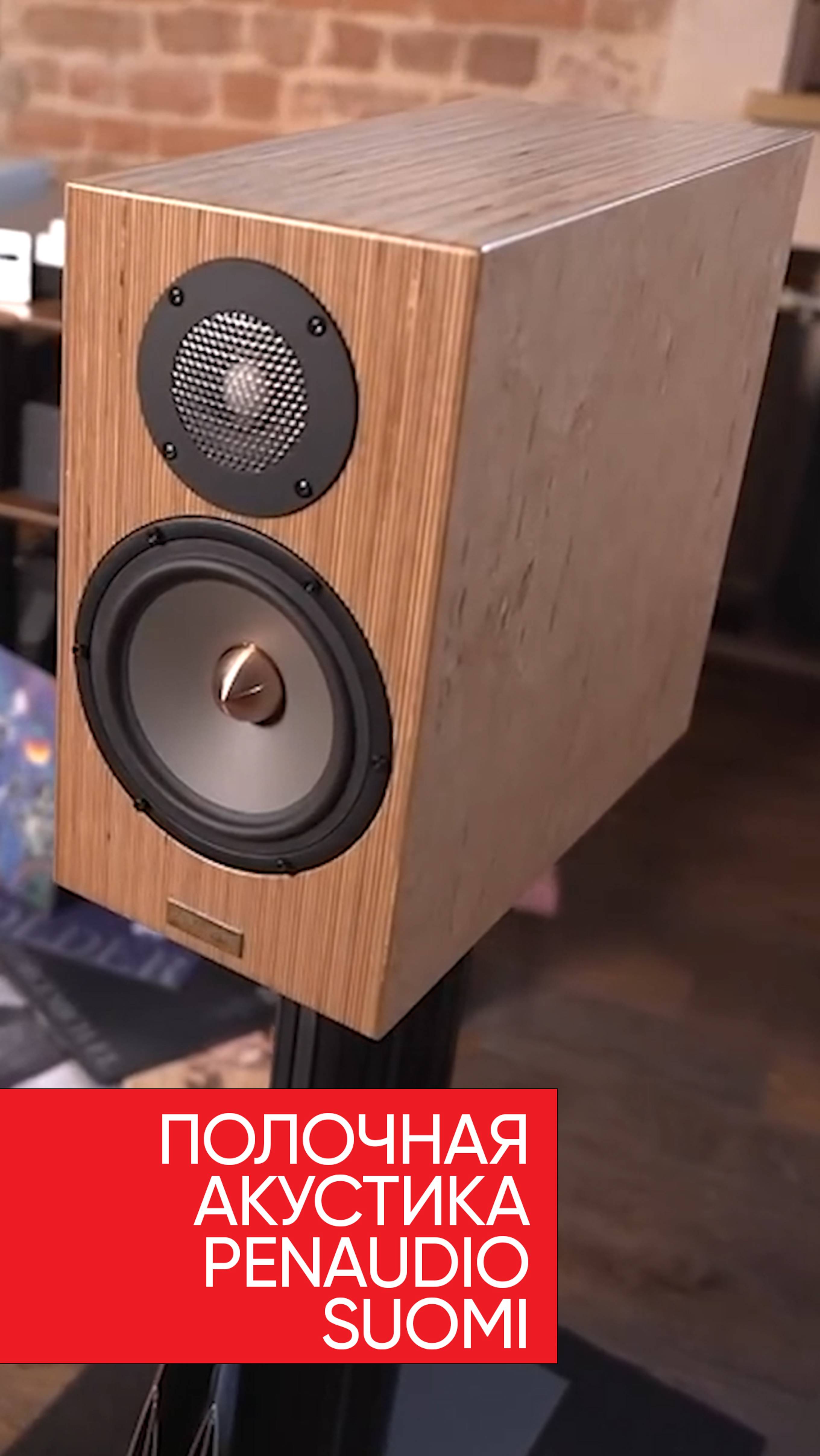 Penaudio Suomi