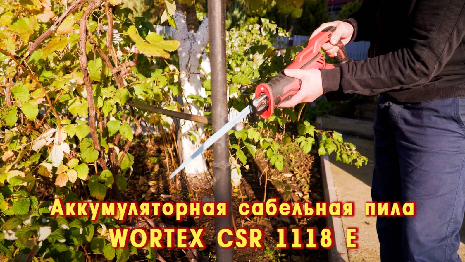 WORTEX CSR 1118 E Аккумуляторная сабельная пила