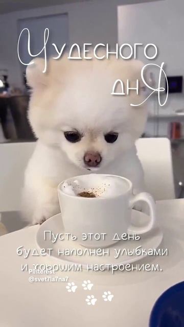 VID-20250210-WA0004