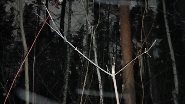 Полнолуние 🌕 12.02.2025. Снежная Луна у Сердца Льва - разрушительное или доброе, зависит от Вас 🤗