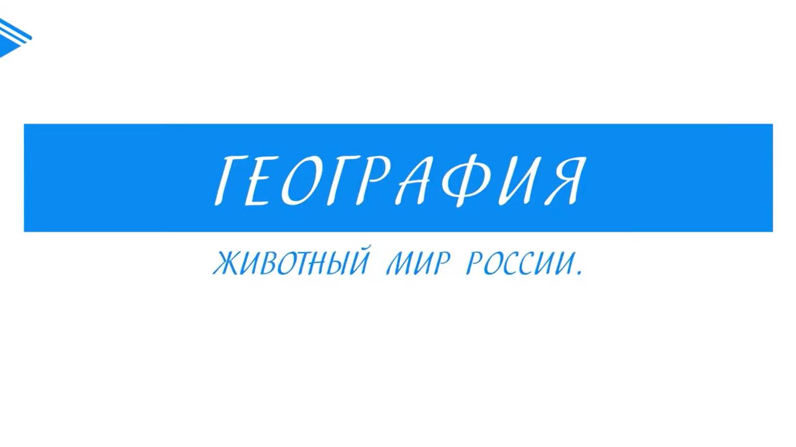 8 класс - География - Животный мир России