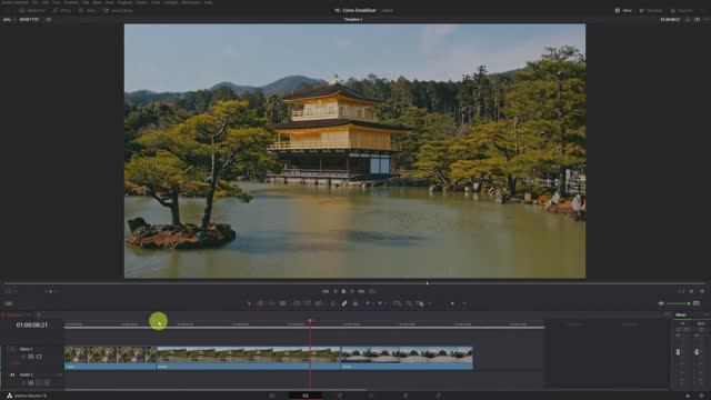 How to Stabilize Footage for FREE! Davinci Resolve