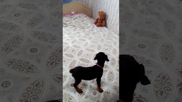 хоть малышь, но всёж)))