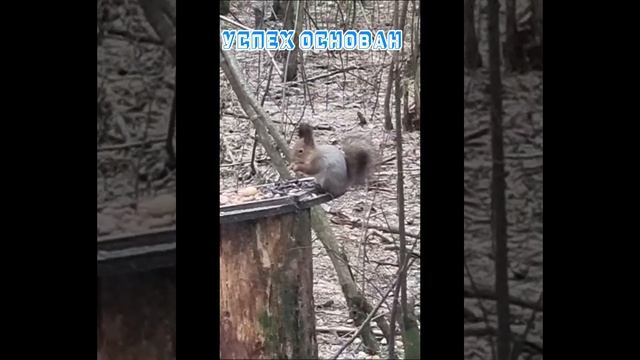 Зафевралило в Подмосковье...