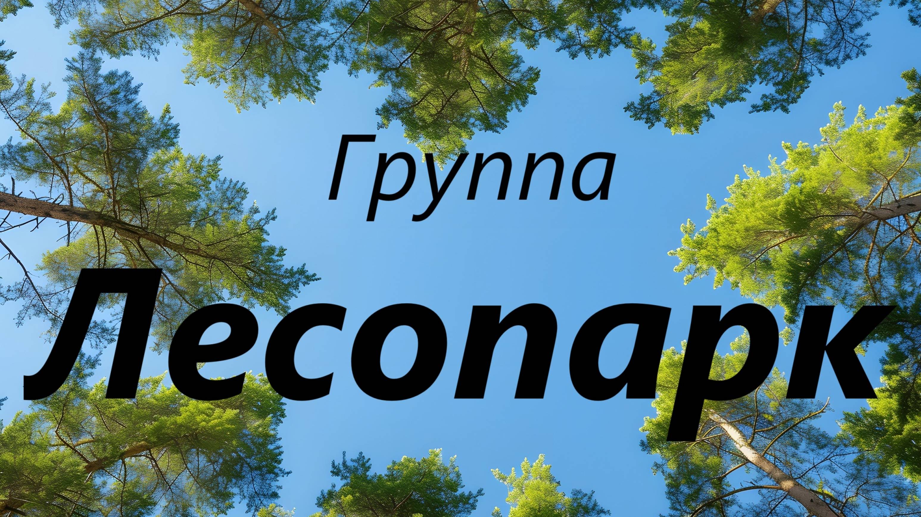 Группа Лесопарк