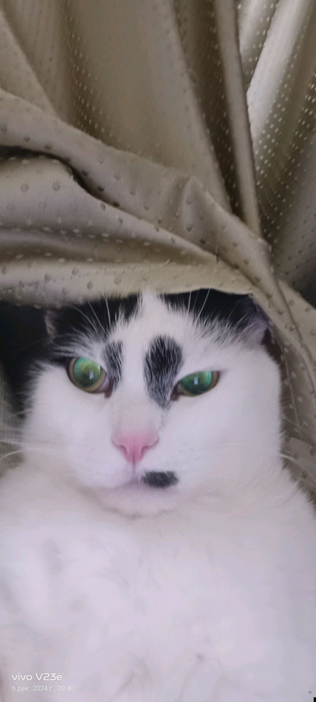 МОНЯ