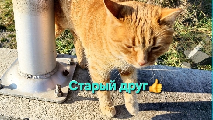 Давно не виделись 🤝👍